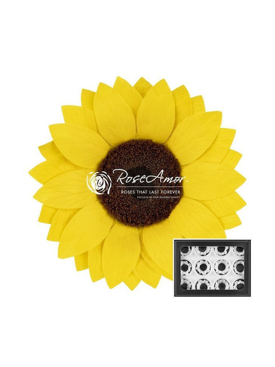 Preserved Flowers Sunflower XXL Yellow 02