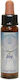 Crystal Herbs Ulei Esențial 10ml