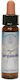 Crystal Herbs Αιθέριο Έλαιο 10ml