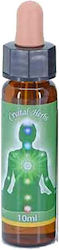 Crystal Herbs Αιθέριο Έλαιο 10ml