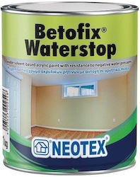 Neotex Betofix Waterstop Plastic Paint for Interior Use White