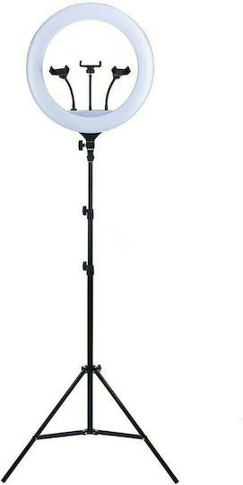 Ring Light 56cm με Τρίποδο Δαπέδου και Βάση για Κινητό