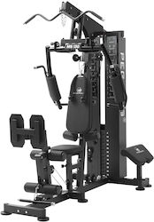 Pegasus Όργανο Δικεφάλων/Τρικεφάλων με Βάρη 73kg Pegasus Όργανο Δικεφάλων/Τρικεφάλων με Βάρη 73kg
