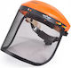 Vizier Hecht 900101