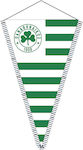 Panathinaikos Satin Triangle Pennant N1