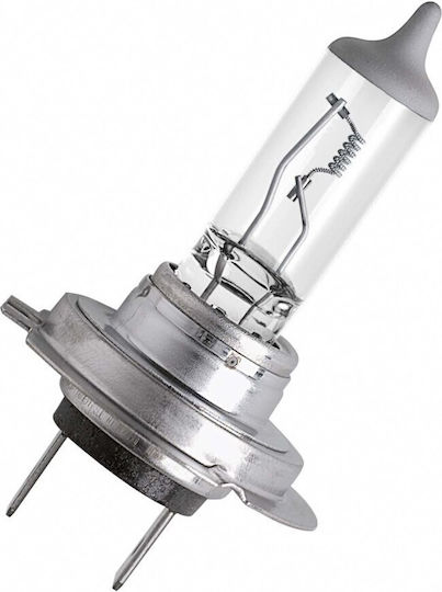 H7 Car Lamp Idealstore 24V 70W Narva