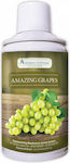 Aroma Systems Αρωματικό Spray Aqua Collection μ...