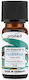 Promed Αιθέριο Έλαιο Ευκάλυπτος 10ml