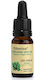 Aeon Med Essential Oil Oregano 10ml