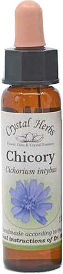 Crystal Herbs Πικραλίδα (chicory) Ανθοΐαμα 10ml 1τμχ
