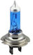 Idealstore H7 24V Xenon-Imitationslicht-Set