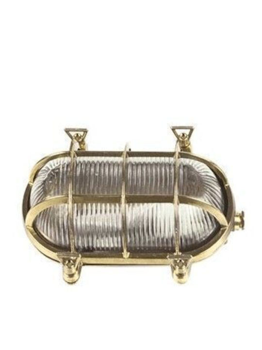 Lido Wall-Mounted Outdoor Turtle Light