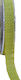 Thin Perforated Burlap Ribbon Light Green 12mm/roll 9 meters