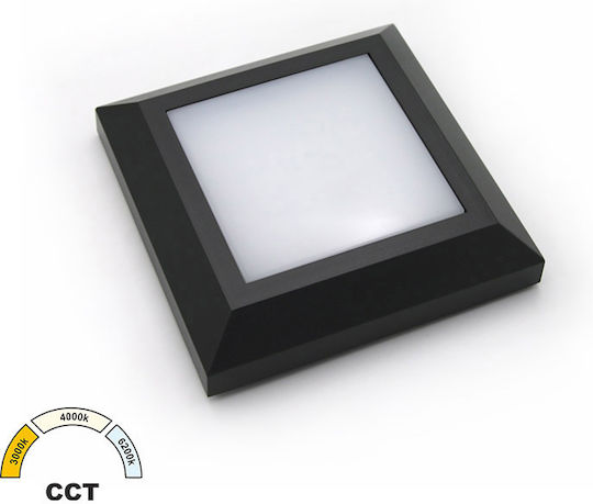 Adeleq Wall-Mounted Outdoor Ceiling Light LED IP65 4W with Adjustable White Light 12.5x12.5εκ.
