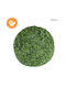 Изкуствен храст Buxus (Обща кутия) Топка Зелен Marhome