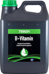 Trikem B-vitamin Συμπλήρωμα Διατροφής 1lt