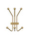 Κρεμάστρα Τοίχου 6 Θέσεων Ant 494pyt1148 23x13x30cm Gold Wallity Μέταλλο