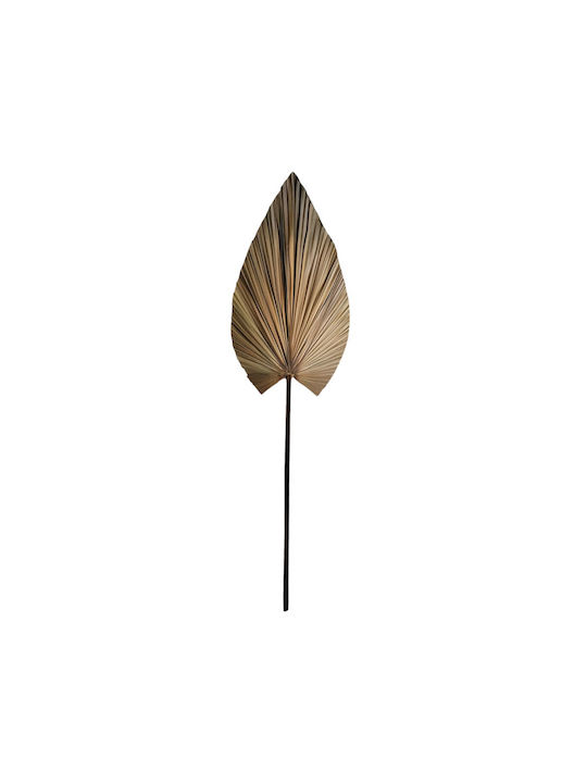 Frunză decorativă Leafen Pakoworld Frunză de palmier naturală 150 cm Frunză decorativă Leafen Pakoworld Frunză de palmier naturală 150 cm