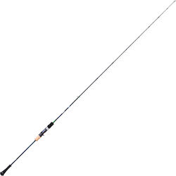 Ecooda 02ECBSJI