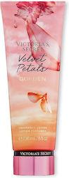 Victoria's Secret Golden Velvet Petals Ενυδατικ...