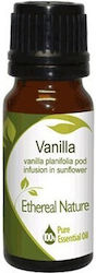 Vanilla Essential Oil 10ml