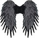 Carnival Wings Black