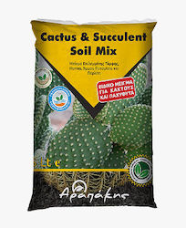 Sol Arapakis pentru Cactuși și Suculente 5L Sol Arapakis pentru Cactuși și Suculente 5L