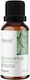 OstroVit Αιθέριο Έλαιο Ευκάλυπτος 15ml