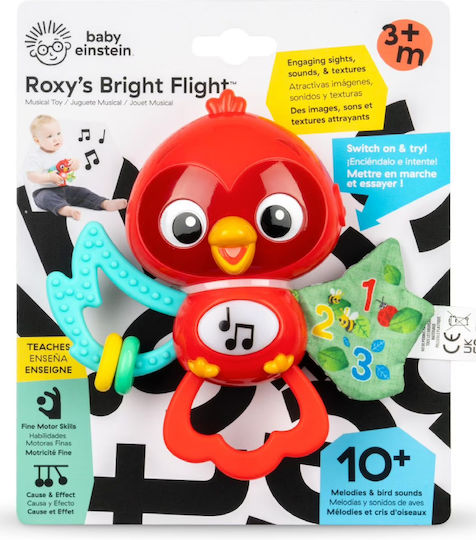 Baby Einstein Ball mit Musik, Licht und Geräuschen für 3++ Monate (Verschiedene Designs/Sortimente von Designs) 1 Stk