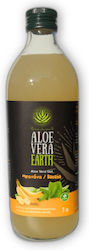 Aloe Vera Earth Αλόη 1000ml Μπανάνα Aloe Vera Earth Αλόη 1000ml Μπανάνα