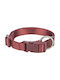 Trixie Premium Dog Collar in Red color