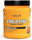 Evolite Creatine Monohydrate Orange 300gr