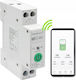 Qoltec WiFi Panel Push Switch 63A