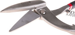 Pelican-type Scissors Right Cutting 300 Mm Tvardy T00927