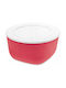 Koziol Plastic Transparent Lunch Box 2lt