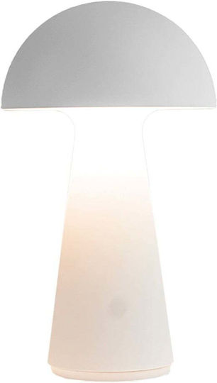Sirius LED Decorative Lighting Sirius LED Decorative Lighting