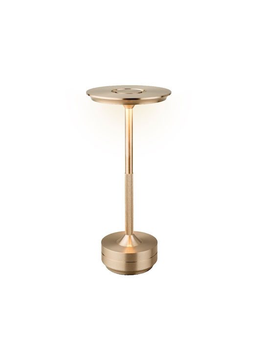 Lumineo Decorative Lamp Copper