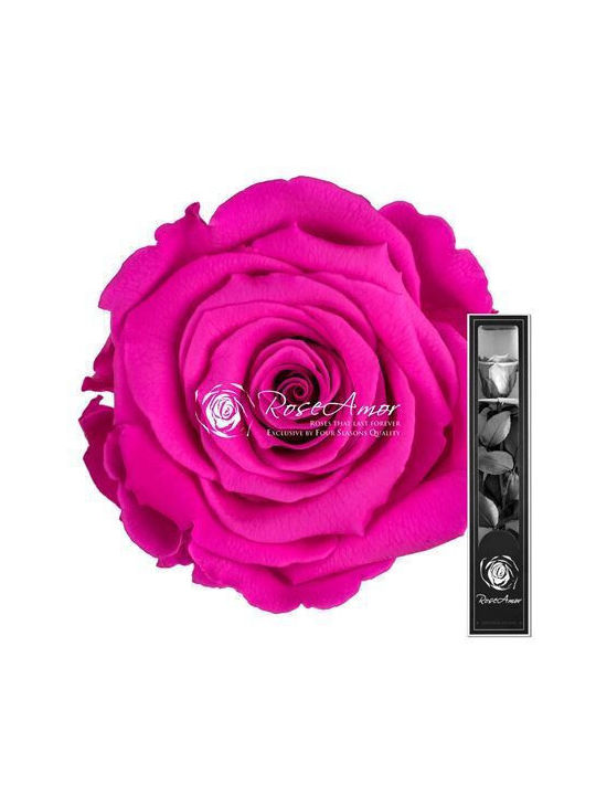 Παντοτινό Τριαντάφυλλο Ροζ 30cm Fankon Flowers
