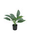 Monstera Potted Plant 44cm Marhome