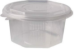 Container Integrated Lid 500ml Pp 50pcs $