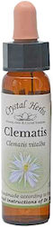 Crystal Herbs Clematis Flower Essence 10ml