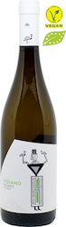Λυραράκη Βιδιανό Βασίλισσες Λευκός 750ml