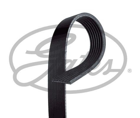 Gates Curea Multi-v-belt Curea de Transmisie 7pk1020 Isuzu D-Max Înainte 2.5d/5.2d Lungime 1020 Mm Lățime 24.9 Mm 7 Ribs