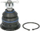 Delphi Load Guide Joint Right Left Upper Pivot Axle Nissan Pick Up 2.4/2.5d 02.98-12.10 Height 94mm Width 61mm Thread Size M14x1.5