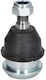 Moog Unteres Rechtes Linkes Vorderachse Pivot Load Guide Joint 14,2mm Kegel Durchmesser Honda Logo 1.3 99-02
