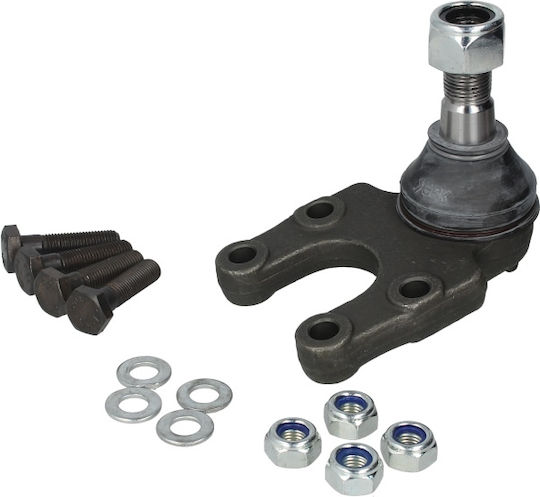 Ghid Articulație Sferică Pivot Pivot Axial Inferior Dreapta Stânga 19.6mm Ford Maverick Nissan Terrano Ii 02.93-09.07