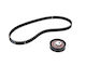 Skf Timing Belt Set