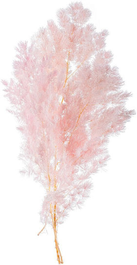 Dried Plant Pink Nuova Vita