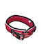 Paw Care Περιλαιμιο Neopren Κόκκινο 45-50cm Mo0000005279
