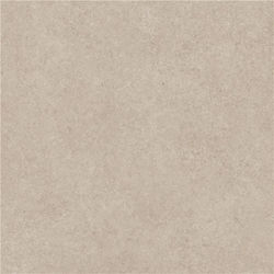 Alaplana Placă Perete Bucătărie / Baie Porțelanat Mat 100x100cm Bone Matt